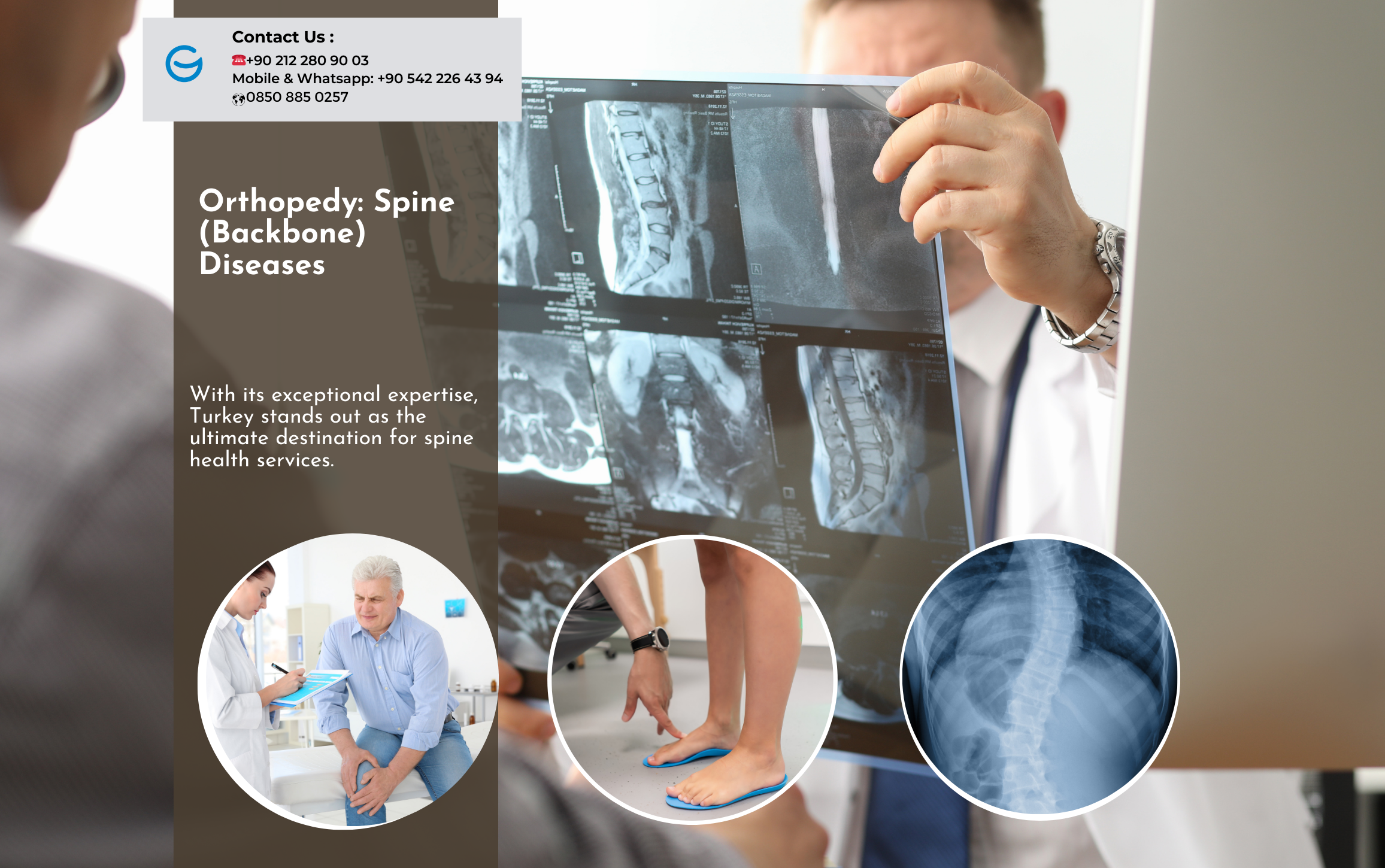 Orthopedy: Spine Backbone Diseases